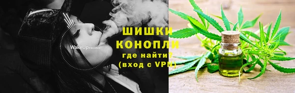 МДПВ Богородск