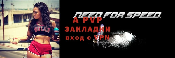 стаф Беломорск