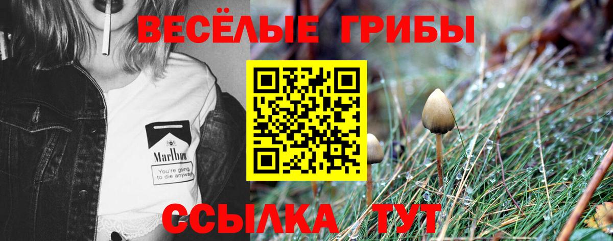 Воронеж  Галлюциногенные грибы мицелий  Вход с VPN  Псилоцибиновые грибы ЛСД 