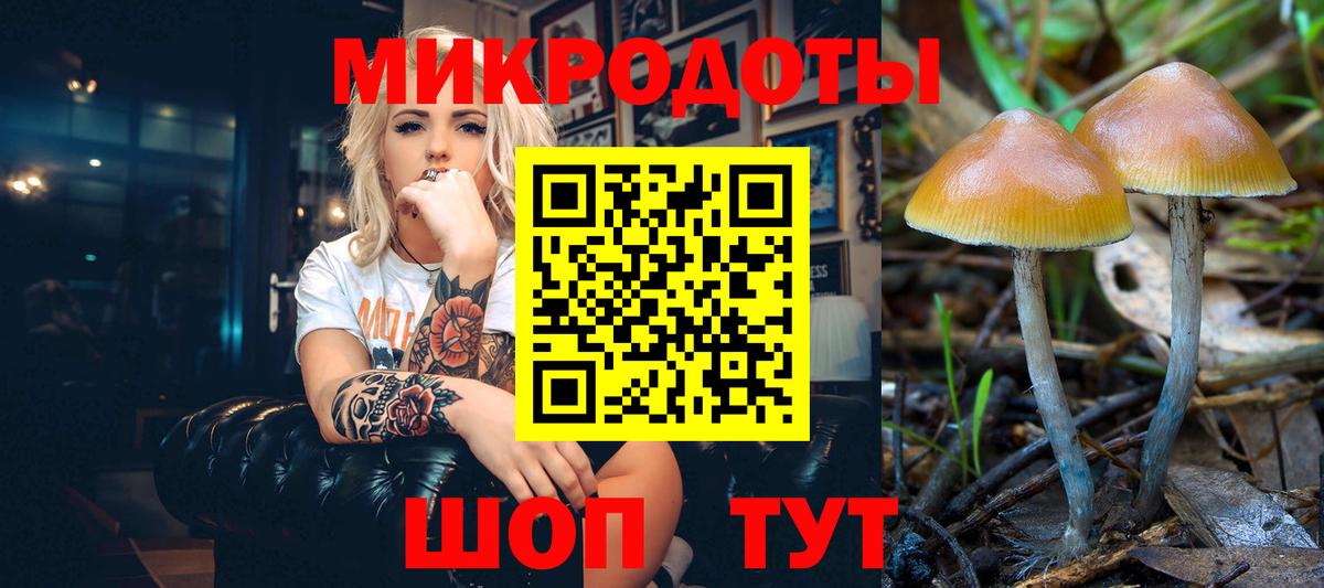 Псилоцибиновые грибы мухоморы Воронеж